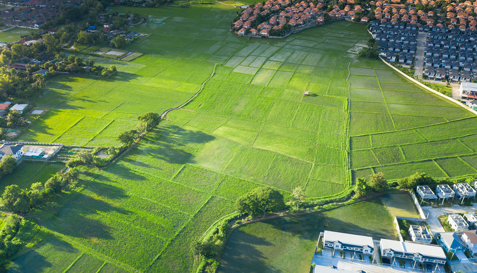 Cultivated land and land plot or land lot in aerial view.