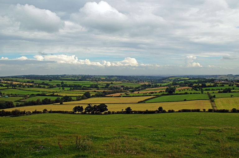 Wide Cropland with a Sunny Fair Weather